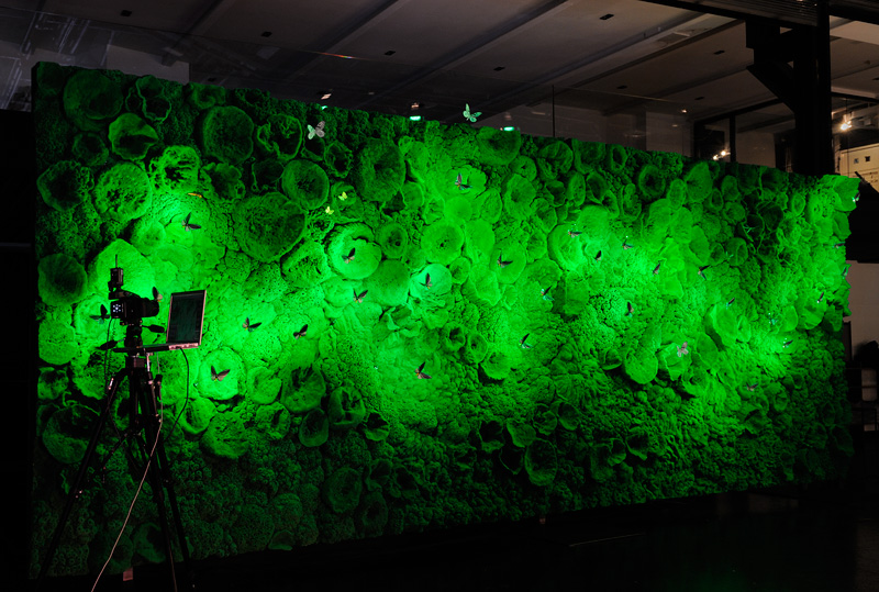 Ingo Maurer Biotope green wall with Graham Owen LED hand made butterflies
