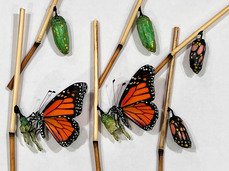 Monarch butterflies hand made props for Chicago Med