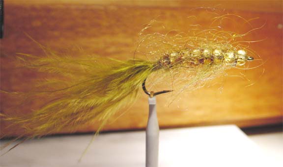 Gold Bead Bugger fly that worked very well for catching trout in the Andes rivers