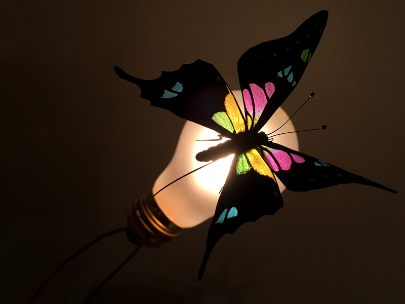 glowing transparent butterfly wings look like stained glass
