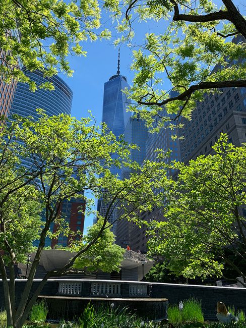 New Yok City Manhattan spring 2019 foliage view
