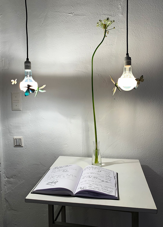 Ingo Showroom guest book and JB Butterfly lamps