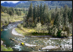 Hoh River Rainforest Washington State scenic photography