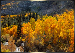 Sierra fall river view