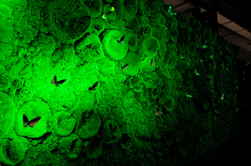 Green sea sponge Biotope wall on display Spazio Krizia Milan Italy 2012