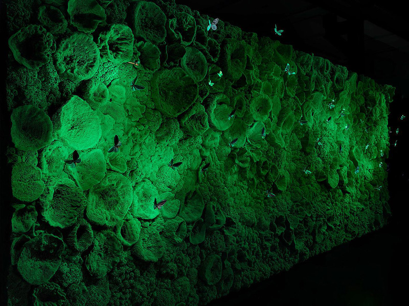 Biotope Wall illuminated with LED butterflies