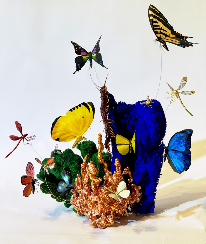 butterfly art display