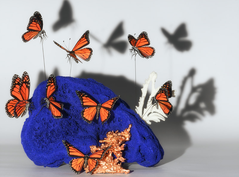 monarch butterflies hand made detailed replicas