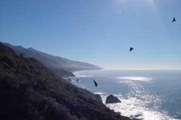 coastline of Big Sur California