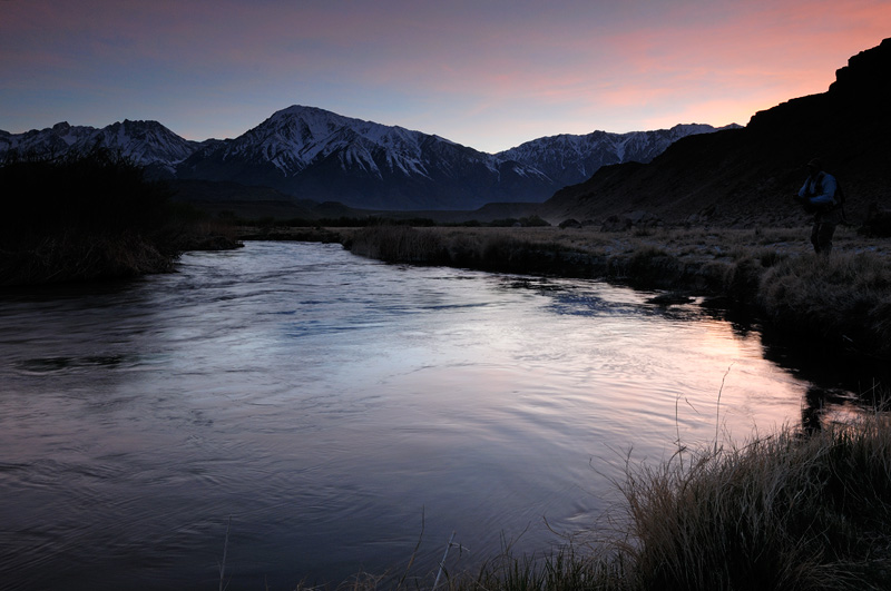 Fly Fisherman on the Sierra Owens River at sunset