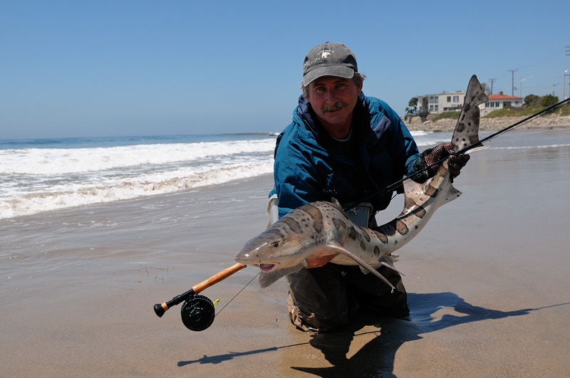 Fly Fishing for Leopard Sharks on the beach in Malibu California