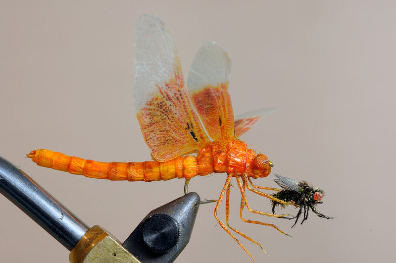 realistic dragonfly with prey