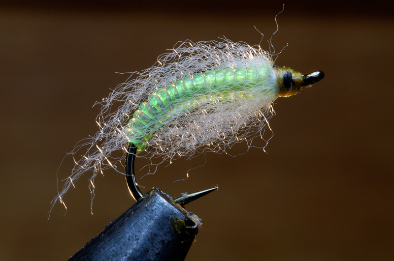 My favorite brownie fly, works well in California and the big browns back east in the fall