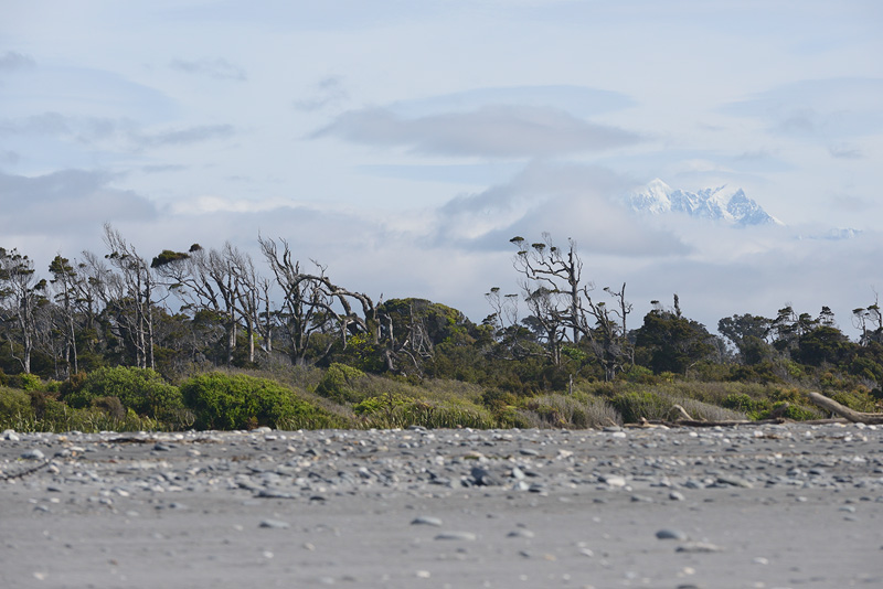 Mount Cook rises above the rugged New Zealand coastline 