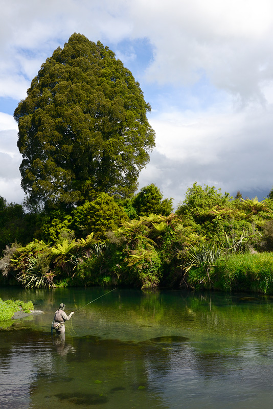 Fly fishing in New Zealand is pure delight 