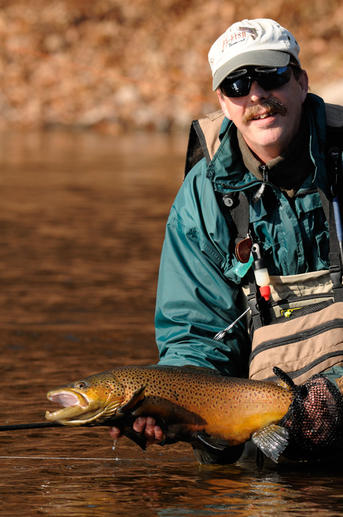 A pretty male brown trout with fantastic colors