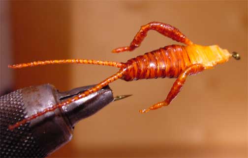 tying the legs onto the fly