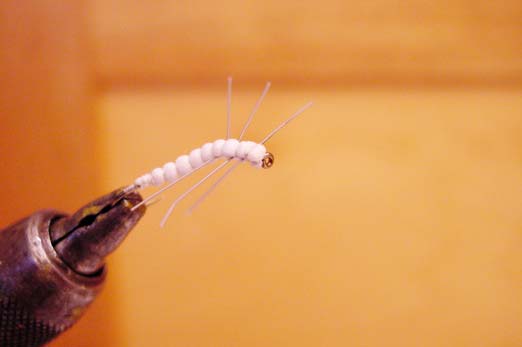 Tying the caddis pupa is completed