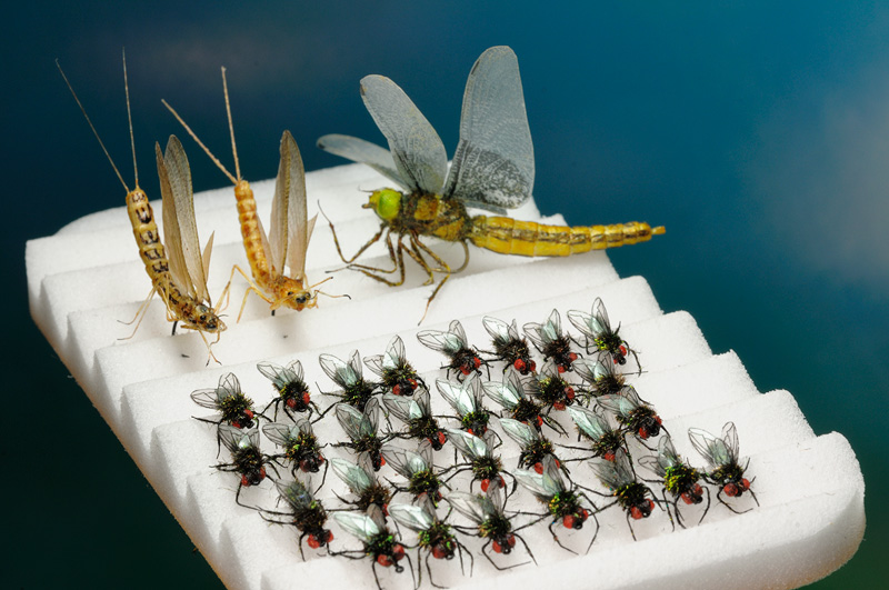 collection of realistic flies, houseflies, mayflies and dragonfly
