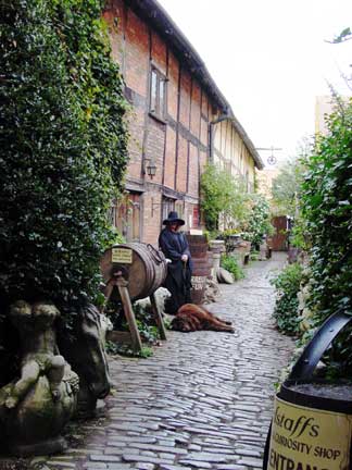 A witch in an alley