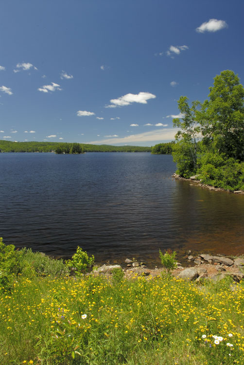 A bright summer day at Tupper Lake New York