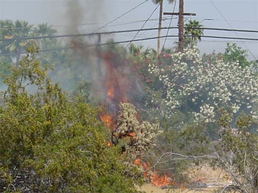 flames are visible