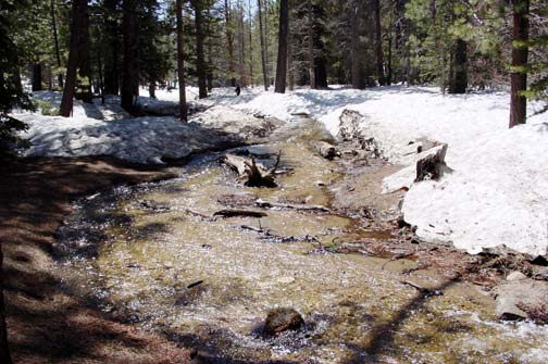 icy cold mountain stream