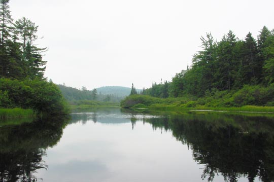 view of Bog River
