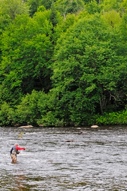 Ausable River Fly Fishing