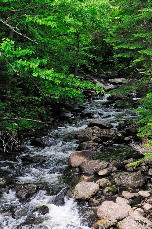Adirondack stream
