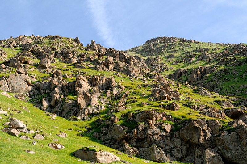 Rocky canyon hillsides covered with vibrant green spring grasses 