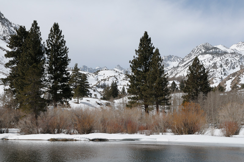 Cold Sierra lake surrounded by snow