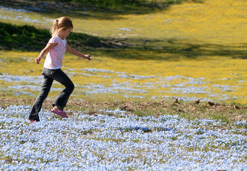A family was enjoying a gorgeous spring day, and their girl was as happy as could be