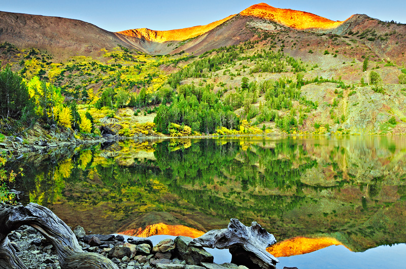 High Sierra mountain alpenglow sunrise, upon Virginia Lake, with a mirror reflection of mountains and fall foliage