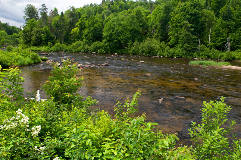 The West branch of the Ausable River, a fine place to fly fish